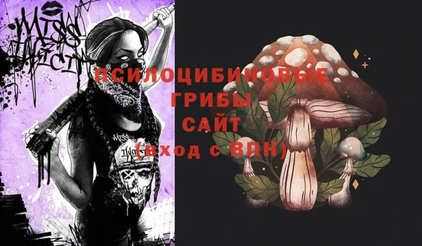 эйфоретик Мегион