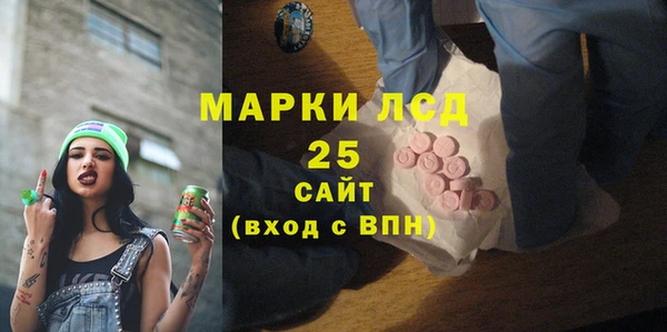 гашик Майский