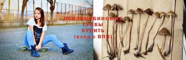 эйфоретик Мегион