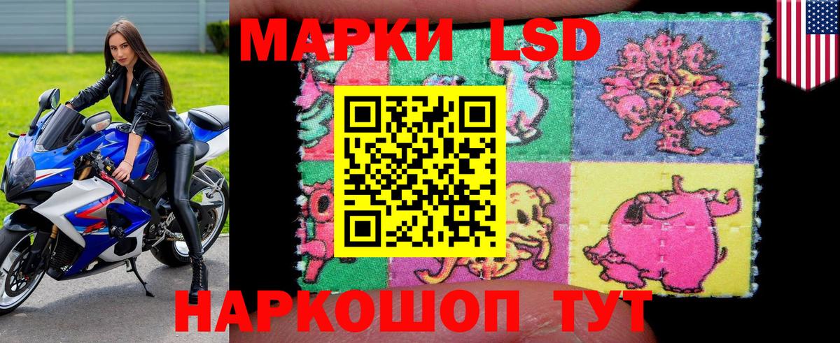 наркотики  Вход с VPN  Фрязино  Марки NBOMe 1500мкг 