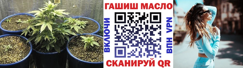 Дистиллят ТГК вейп с тгк  mega tor  Фрязино  купить наркоту 