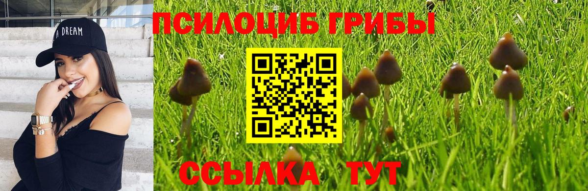 Галлюциногенные грибы прущие грибы Фрязино