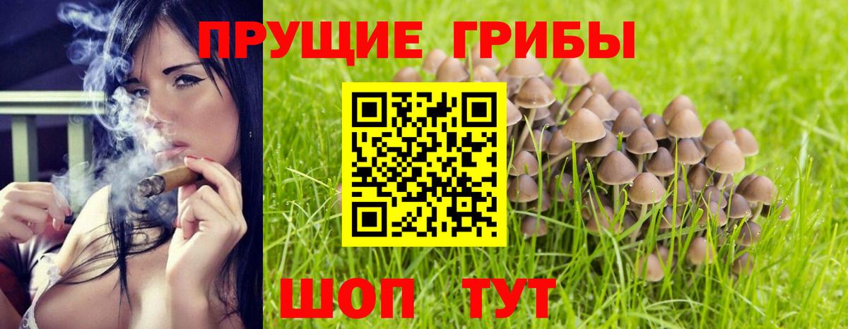 Галлюциногенные грибы Psilocybine cubensis  Галлюциногенные грибы GOLDEN TEACHER  Фрязино 