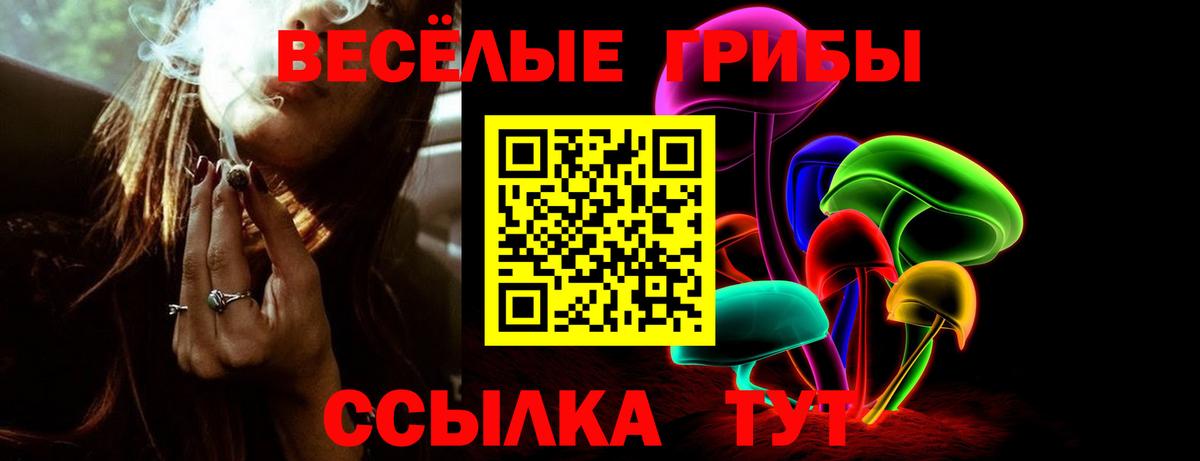 Фрязино  Галлюциногенные грибы MAGIC MUSHROOMS  Вход с VPN 